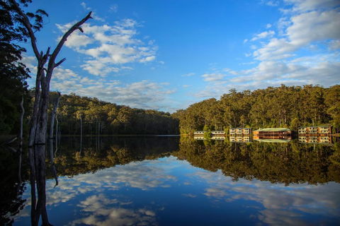 RAC Karri Valley Resort - Accommodation Sunshine Coast 3