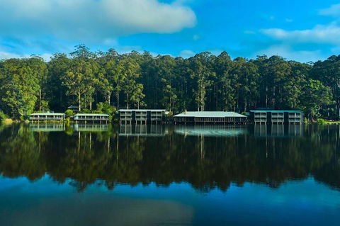 RAC Karri Valley Resort - Accommodation Sunshine Coast 2