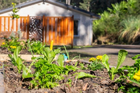Pure Valley Estate - Accommodation Sunshine Coast 3