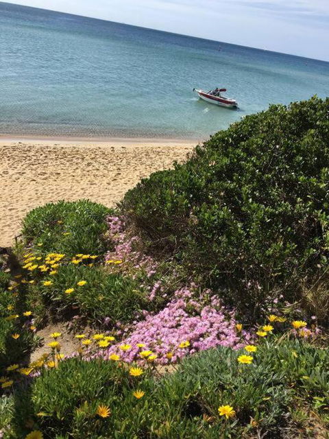 Quiet, Luxurious Guest House - Couples Retreat - Accommodation Sunshine Coast 1