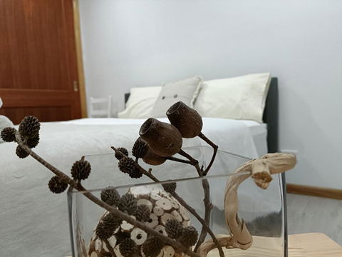 Quiet Nature-Filled Ground Floor Unit - Accommodation Sunshine Coast 1