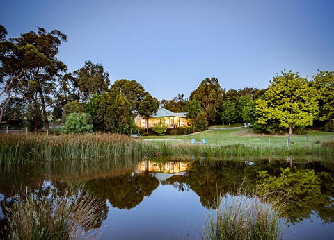 Raynella Alpaca Farmstay - Accommodation Sunshine Coast 0