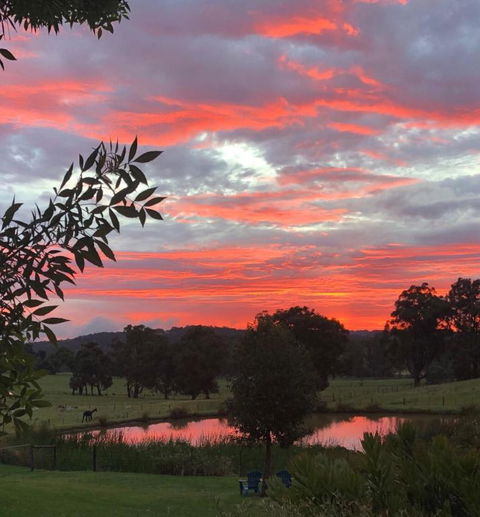 Raynella Alpaca Farmstay - Accommodation Sunshine Coast 2