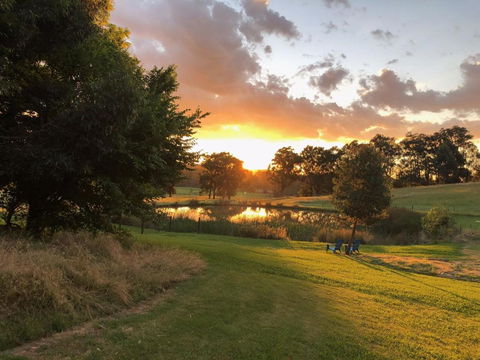 Raynella Alpaca Farmstay - Accommodation Sunshine Coast 1
