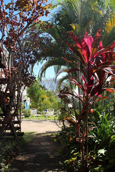 Asylum Cairns Hostel - Accommodation Sunshine Coast 0