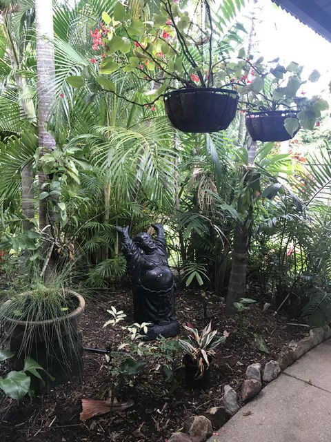 Bali Inspired Hideaway With Tropical Villa & Plunge Pool - Accommodation Sunshine Coast 3