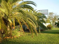 Book Winton Accommodation Vacations Accommodation Sunshine Coast Accommodation Sunshine Coast