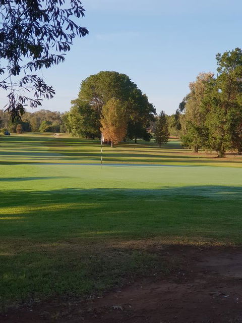 Barooga Golf View Motel - Accommodation Sunshine Coast 2