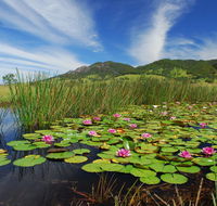 Barrington Hideaway- River Cottages - Accommodation Sunshine Coast