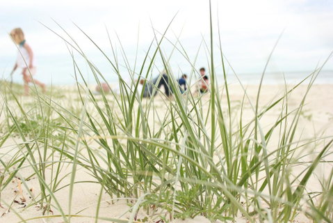 Beachfront At Bribie 2 Puppy Friendly - Accommodation Sunshine Coast 3
