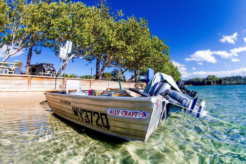 Reflections Massy Greene - Holiday Park - Accommodation Sunshine Coast 0