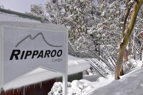 Ripparoo Lodge - Accommodation Sunshine Coast 0
