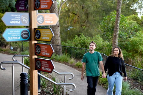 Roar And Snore - Accommodation Sunshine Coast 2