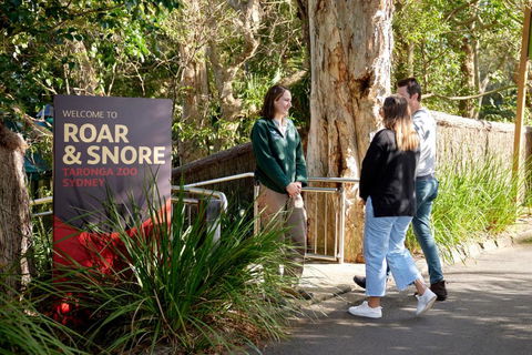 Roar And Snore - Accommodation Sunshine Coast 1