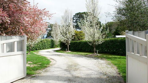 Robin Hill Manor - Accommodation Sunshine Coast 2