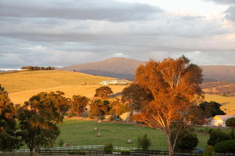 Rose Cottage Yarra Glen - Accommodation Sunshine Coast 1