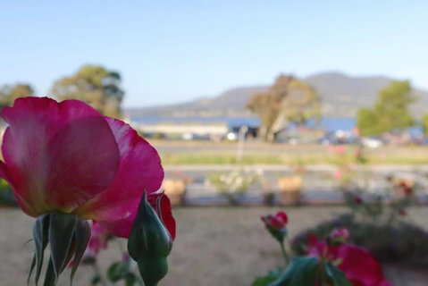 Rose Retreat With Water Front View At Montrose - Accommodation Sunshine Coast 3