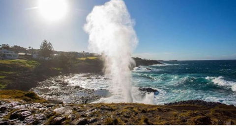 SALTY PALMS -Seaside Studio Apartment - Accommodation Sunshine Coast 2