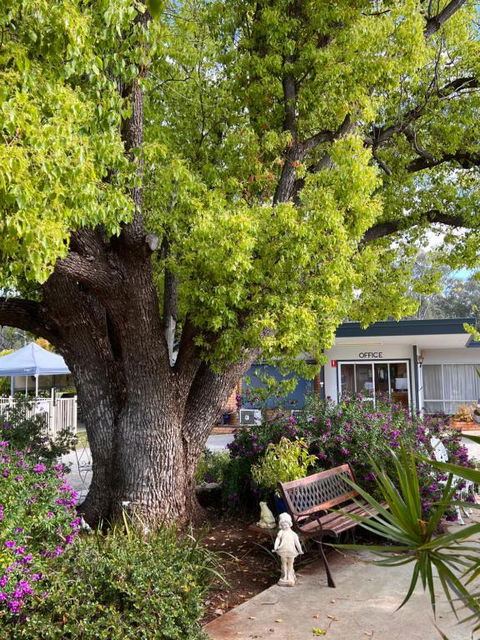 Sturt Motel Balranald - Accommodation Sunshine Coast 1