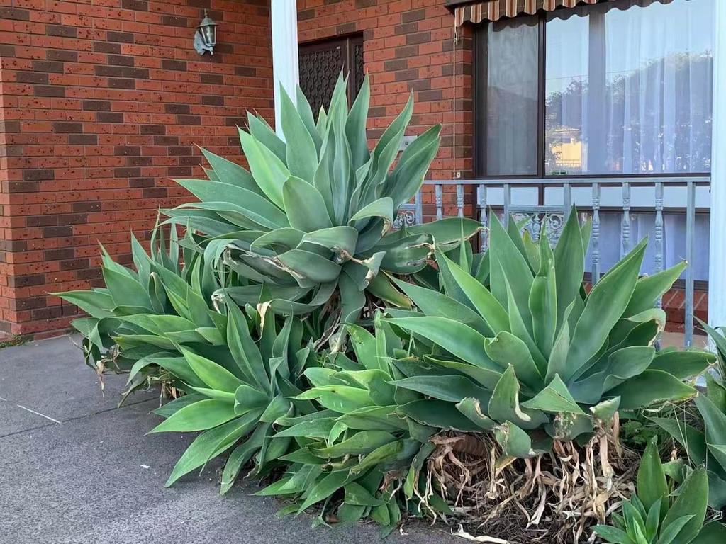 Bentleigh East VIC Accommodation Sunshine Coast