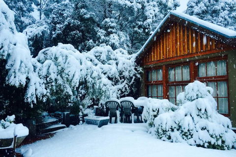 BEAUTIFUL RETREAT - 20 Mins To CBD And Only 10 Mins To MONA! - Accommodation Sunshine Coast 0