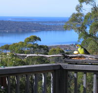 Bed in the Treetops BB - Accommodation Sunshine Coast