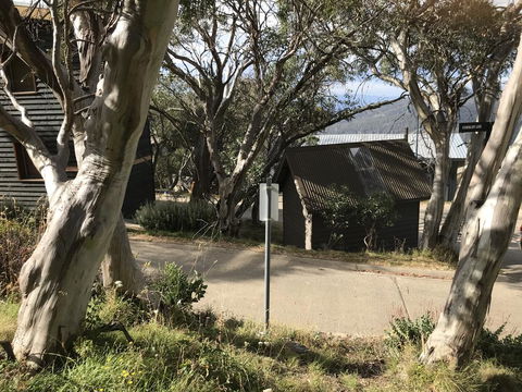 Beehive 18 - Accommodation Sunshine Coast 1