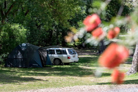 Belair National Park Holiday Park - Accommodation Sunshine Coast 0