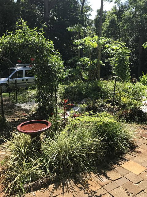 Bellarose Guest House - Accommodation Sunshine Coast 1