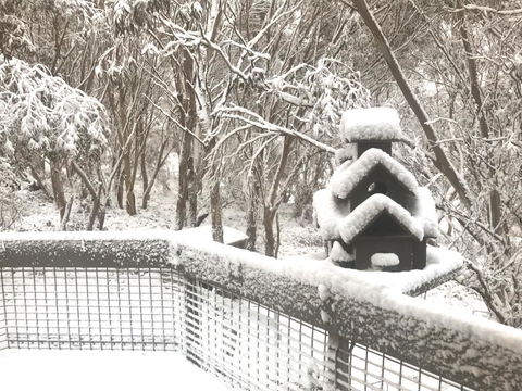 Belltrees - Accommodation Sunshine Coast 1