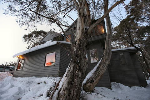 Belltrees - Accommodation Sunshine Coast 0