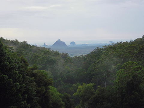 Bellview - Accommodation Sunshine Coast 2