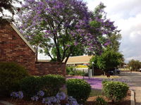 Belvoir Village Motel  Apartments Wodonga