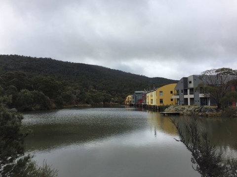 Bianca Montane - Accommodation Sunshine Coast 1