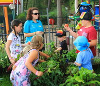 Book Lemon Tree Passage Accommodation Vacations Accommodation Sunshine Coast Accommodation Sunshine Coast