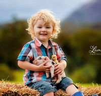 Blackwattle Farm - Accommodation Sunshine Coast