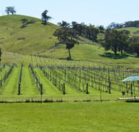 Blue House at Mountainside Wines - Accommodation Sunshine Coast