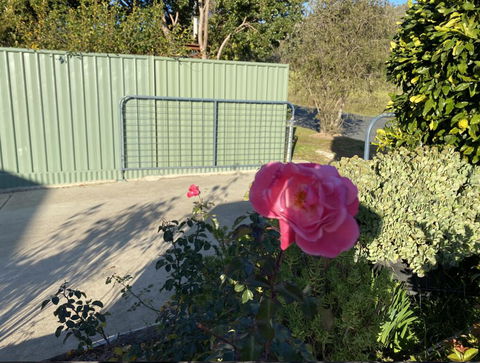 Blue Manor On Fairway - Accommodation Sunshine Coast 2