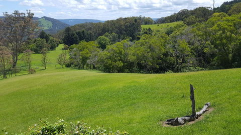 Blue Summit Cottages - Accommodation Sunshine Coast 3