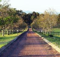 Blueberry Hill Vineyard Villa - Accommodation Sunshine Coast