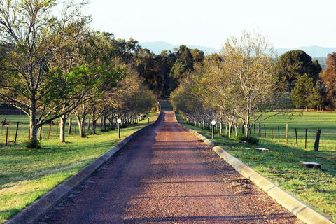 Blueberry Hill Vineyard Villa - Accommodation Sunshine Coast 0