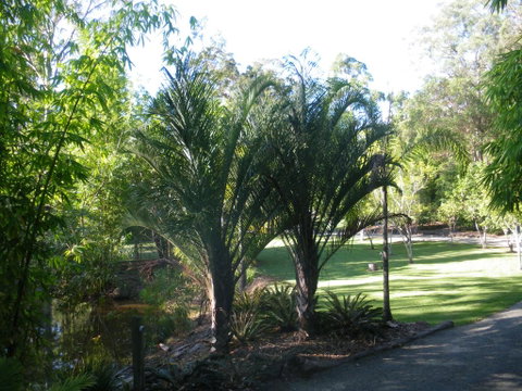 BoBRENE On Tamborine Nude Retreat - Quaint Cottage - Accommodation Sunshine Coast 2