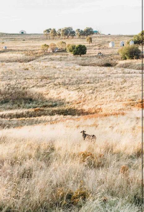 The Oaks Country Getaway - Accommodation Sunshine Coast 1