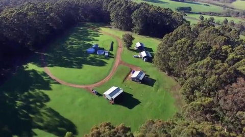 Tinglewood Cabins - Accommodation Sunshine Coast 0