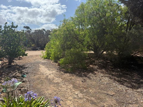 Woody House - Accommodation Sunshine Coast 2
