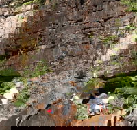 3-Day Kakadu 4WD Camping Safari from Darwin - Accommodation Sunshine Coast