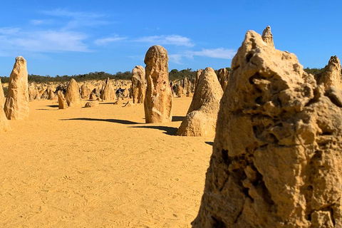 Pinnacles Desert (Private) Day Tour - Accommodation Sunshine Coast 0