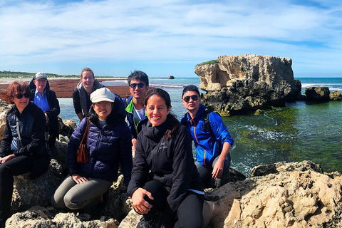 Pinnacles Desert (Private) Day Tour - Accommodation Sunshine Coast 4