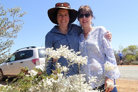Spring Wildflower (Private) Day Tours - Accommodation Sunshine Coast 0