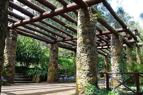 Spring Wildflower (Private) Day Tours - Accommodation Sunshine Coast 2